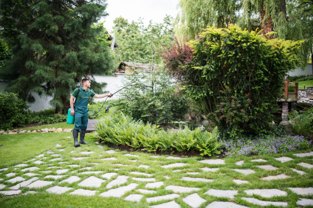Best Tree Trimming and Pruning  in Winchester, CA